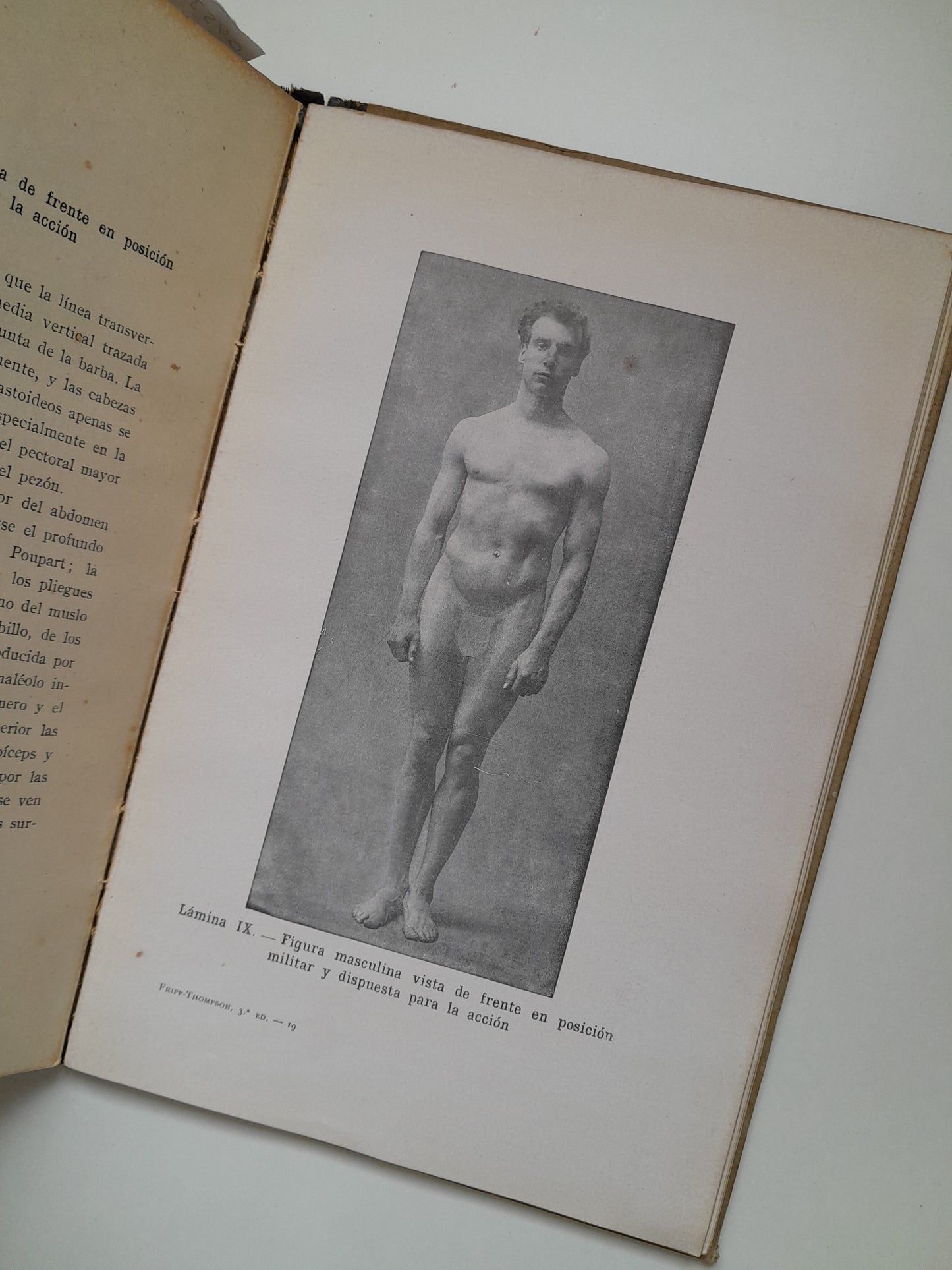 ANATOMÍA ARTÍSTICA - ALFREDO D. FRIPP (GUSTAVO GILI, 1945)