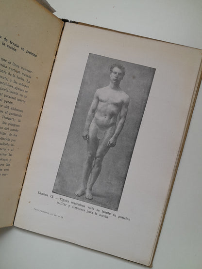 ANATOMÍA ARTÍSTICA - ALFREDO D. FRIPP (GUSTAVO GILI, 1945)