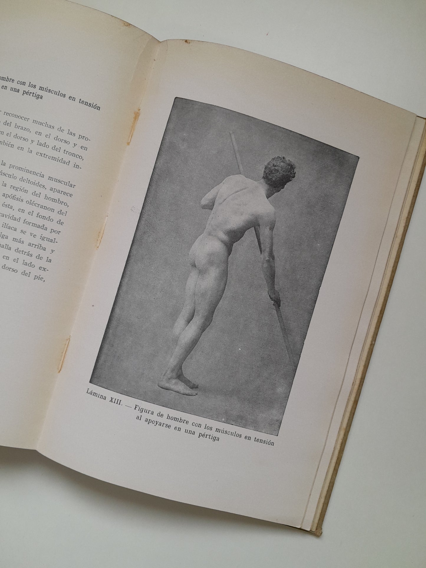 ANATOMÍA ARTÍSTICA - ALFREDO D. FRIPP (GUSTAVO GILI, 1945)