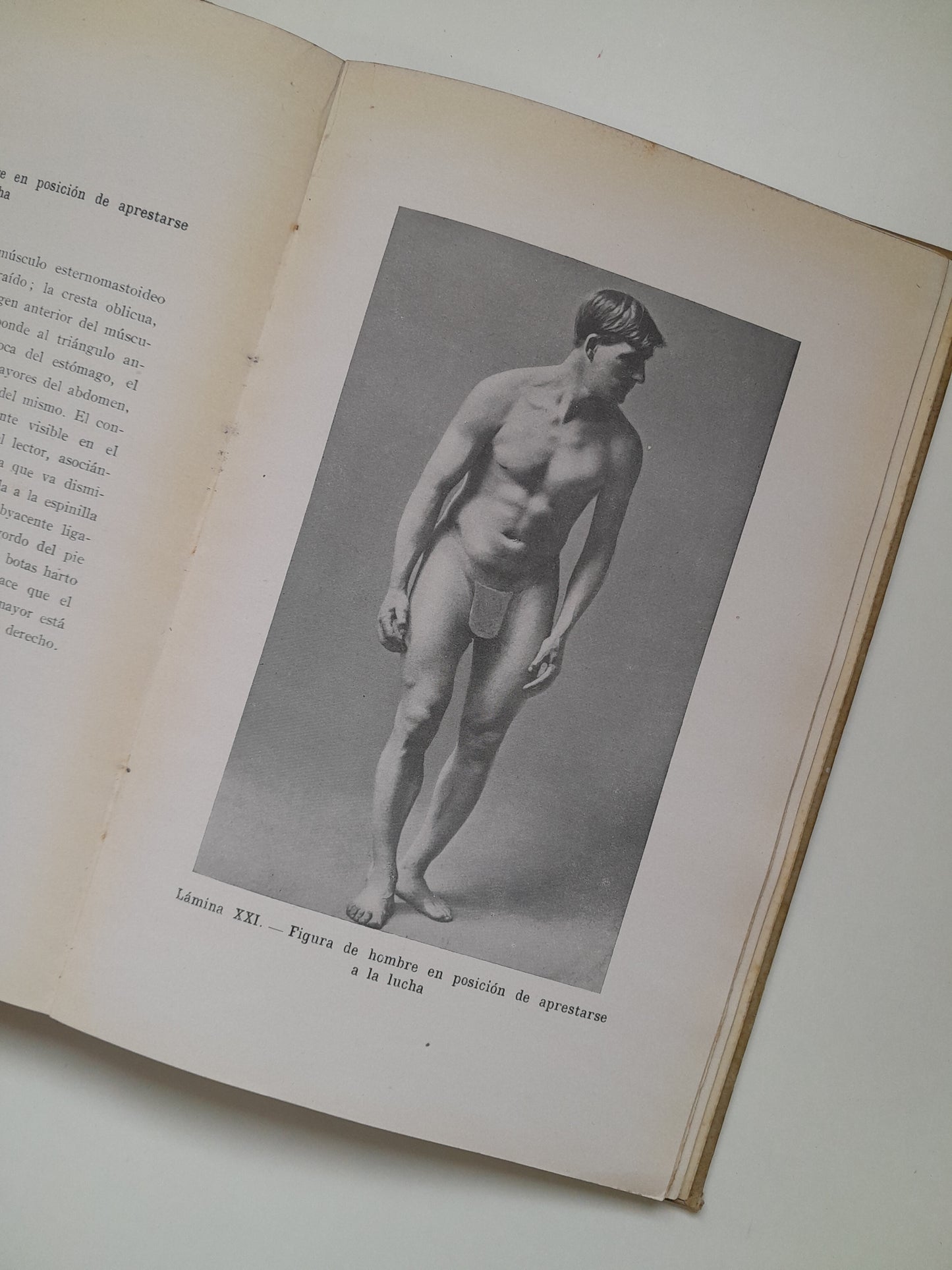 ANATOMÍA ARTÍSTICA - ALFREDO D. FRIPP (GUSTAVO GILI, 1945)