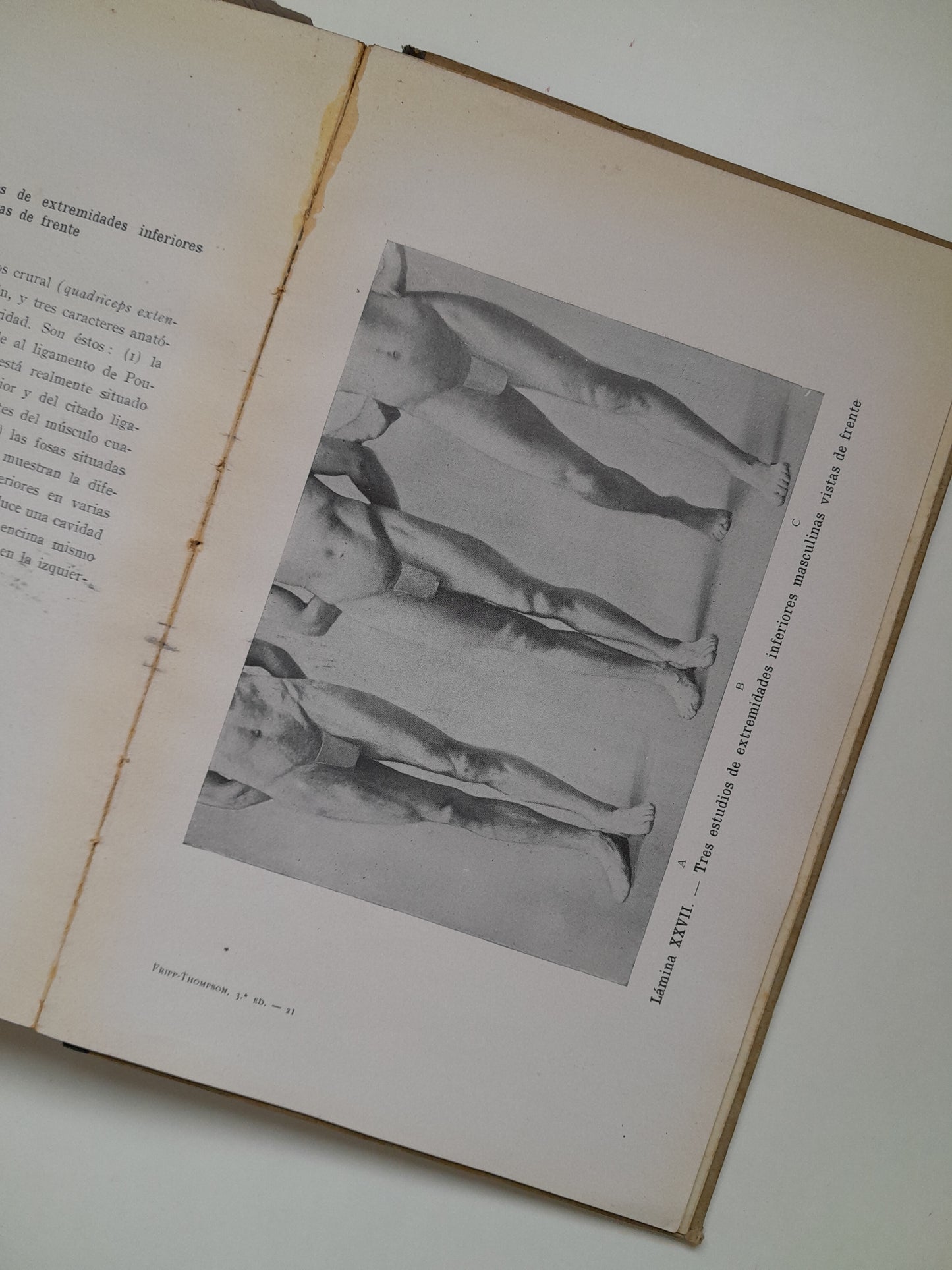 ANATOMÍA ARTÍSTICA - ALFREDO D. FRIPP (GUSTAVO GILI, 1945)