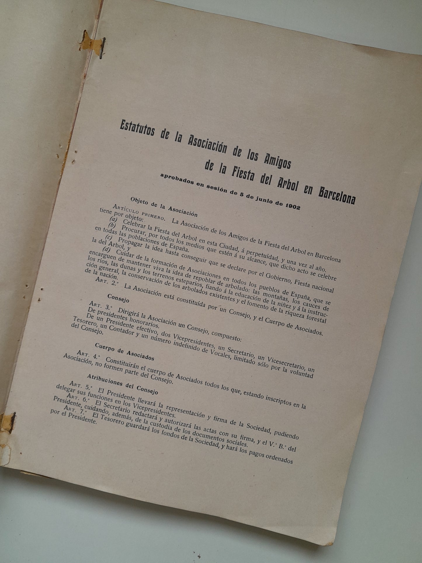 CRÓNICA DE LA FIESTA DEL ÁRBOL EN ESPAÑA (1907)