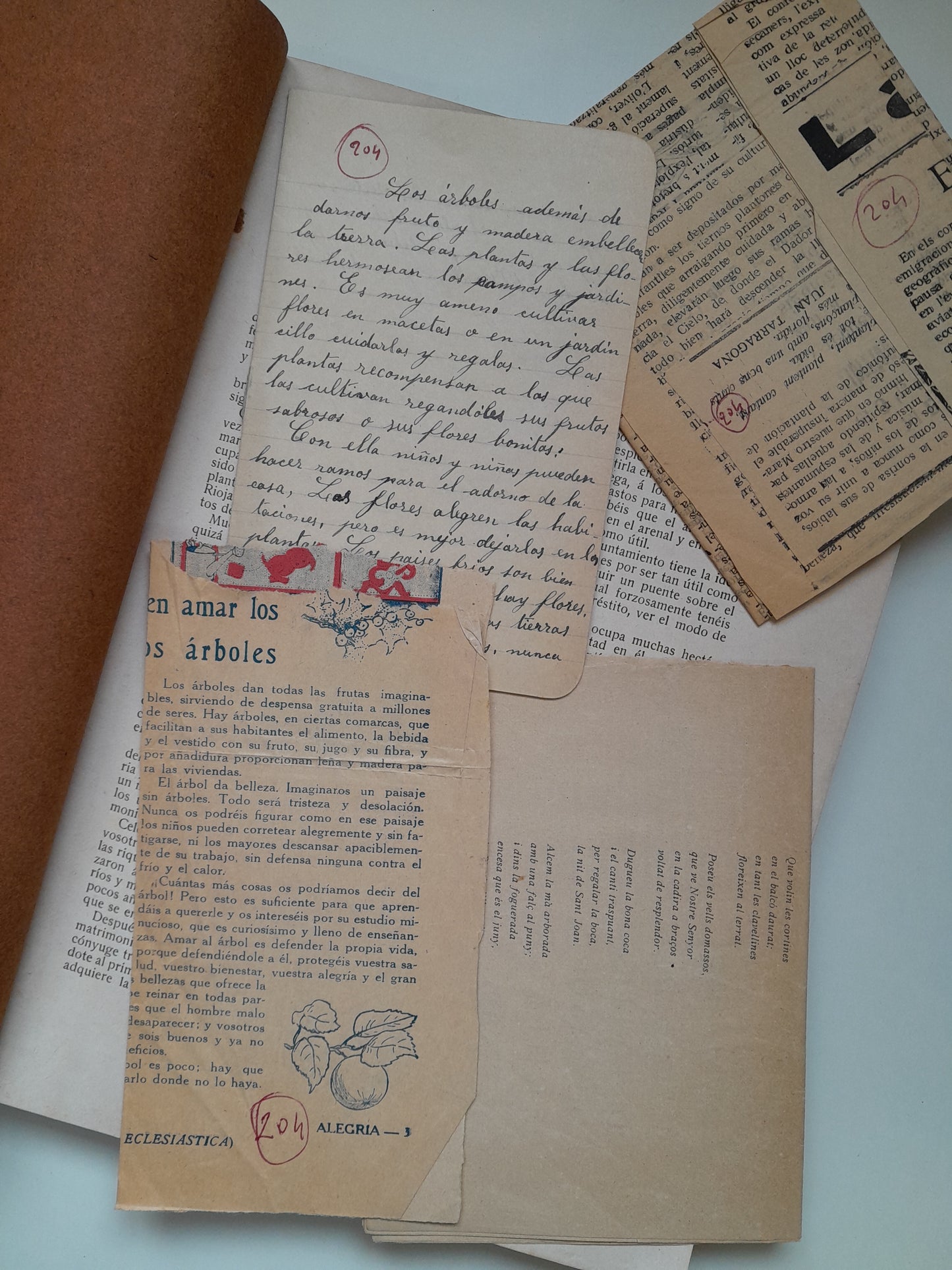 CRÓNICA DE LA FIESTA DEL ÁRBOL EN ESPAÑA (1907)