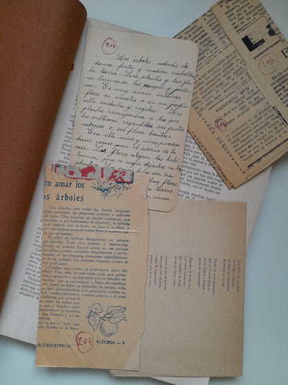 CRÓNICA DE LA FIESTA DEL ÁRBOL EN ESPAÑA (1907)