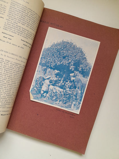 CRÓNICA DE LA FIESTA DEL ÁRBOL EN ESPAÑA (1907)