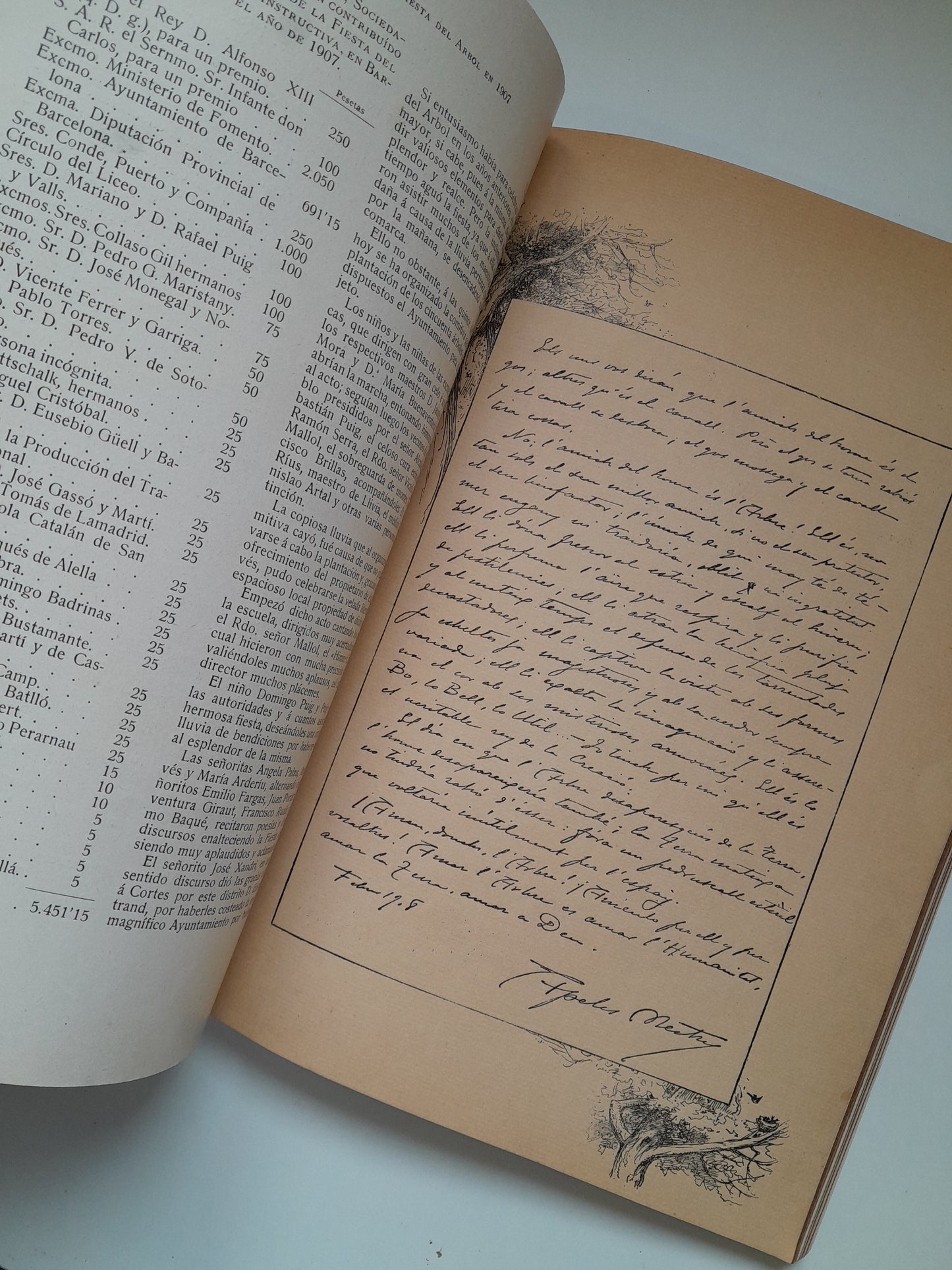 CRÓNICA DE LA FIESTA DEL ÁRBOL EN ESPAÑA (1907)