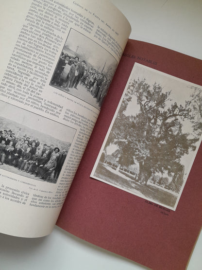CRÓNICA DE LA FIESTA DEL ÁRBOL EN ESPAÑA (1907)