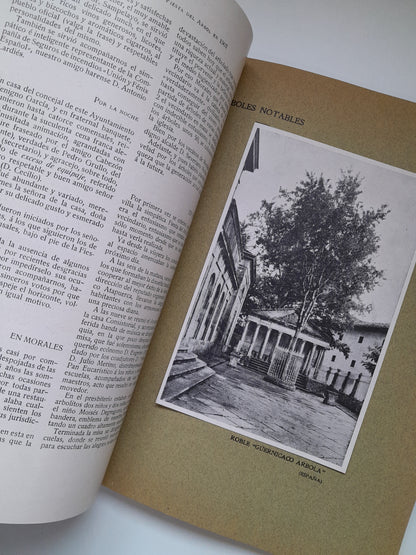 CRÓNICA DE LA FIESTA DEL ÁRBOL EN ESPAÑA (1907)