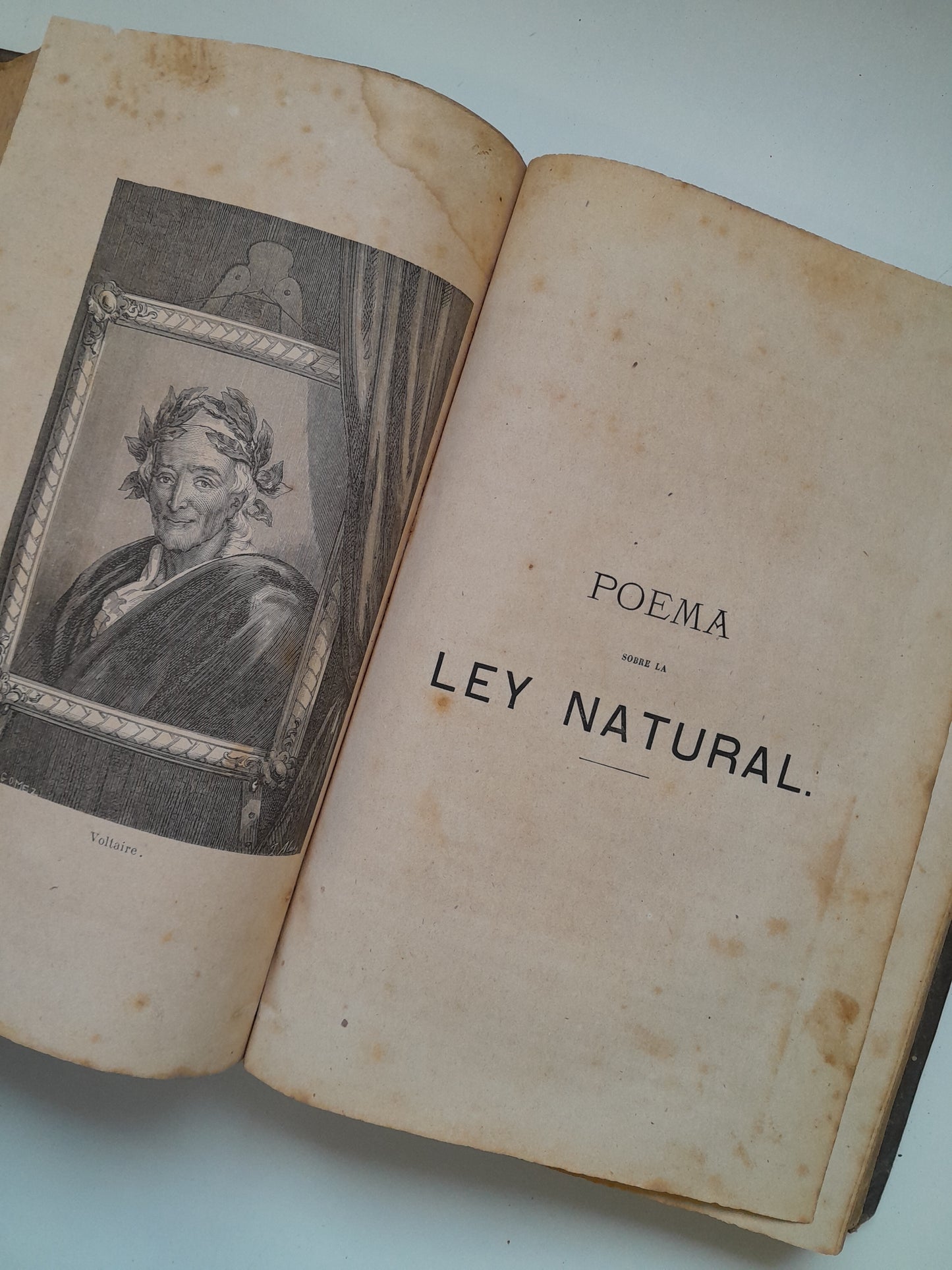 LAS RUINAS DE PALMIRA O MEDITACIÓN SOBRE LAS REVOLUCIONES DE LOS IMPERIOS - M. VOLNEY (JOSÉ CODINA, 1869)