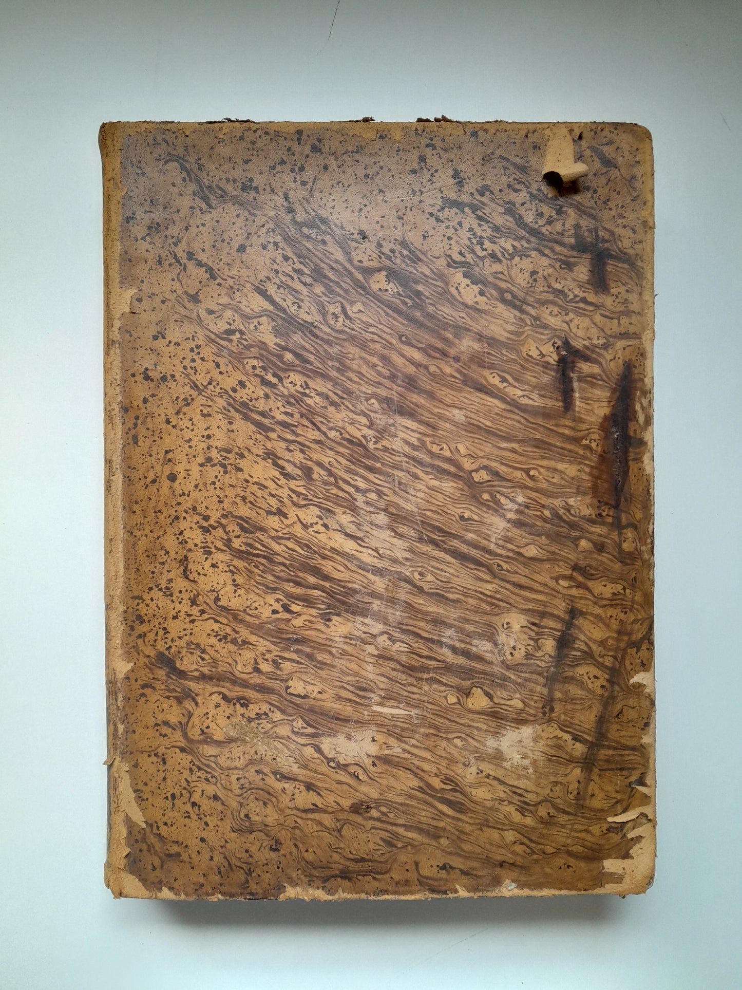 DICCIONARIO ENCICLOPÉDICO DE LA LENGUA ESPAÑOLA (2 TOMOS) - NEMESIO FERNÁNDEZ CUESTA (IMP. GASPAR Y ROIG, 1872)