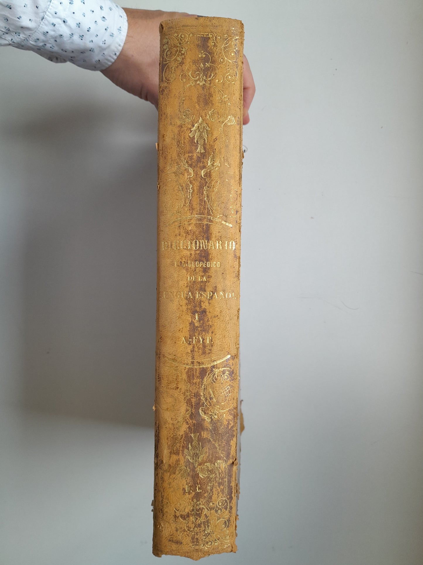 DICCIONARIO ENCICLOPÉDICO DE LA LENGUA ESPAÑOLA (2 TOMOS) - NEMESIO FERNÁNDEZ CUESTA (IMP. GASPAR Y ROIG, 1872)