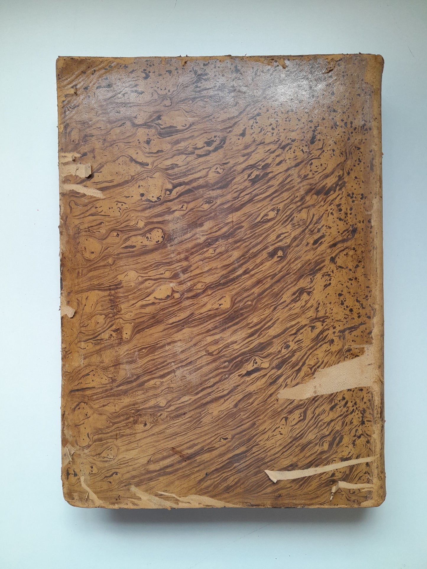 DICCIONARIO ENCICLOPÉDICO DE LA LENGUA ESPAÑOLA (2 TOMOS) - NEMESIO FERNÁNDEZ CUESTA (IMP. GASPAR Y ROIG, 1872)