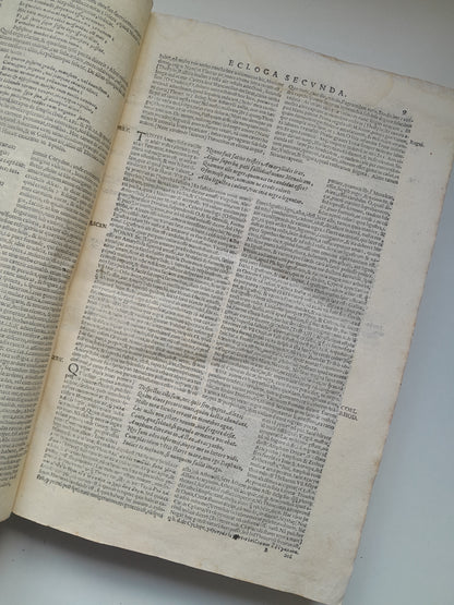 OPERA P. VIRGILII MARONIS, POETAE MANTUANI - VIRGILIO (1624)