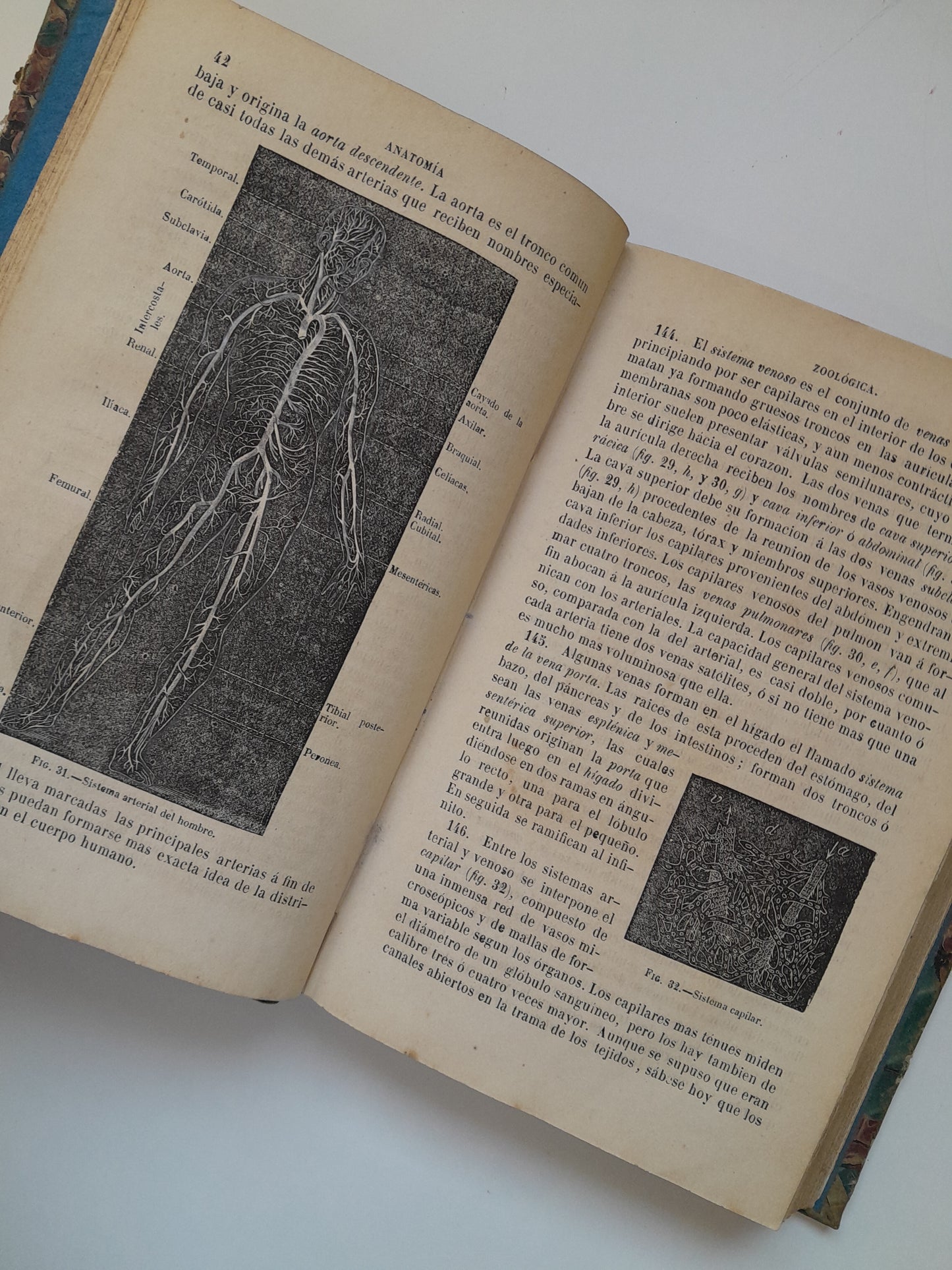 CURSO DE HISTORIA NATURAL - JOSÉ MONLAU (LIB. LA PUBLICIDAD, 1870)