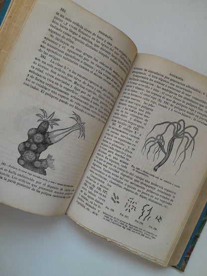 CURSO DE HISTORIA NATURAL - JOSÉ MONLAU (LIB. LA PUBLICIDAD, 1870)