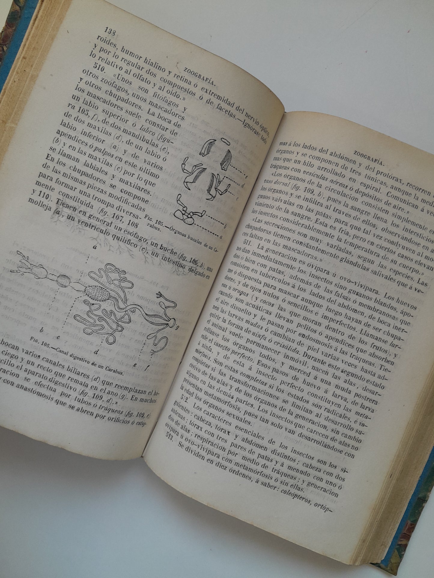 CURSO DE HISTORIA NATURAL - JOSÉ MONLAU (LIB. LA PUBLICIDAD, 1870)