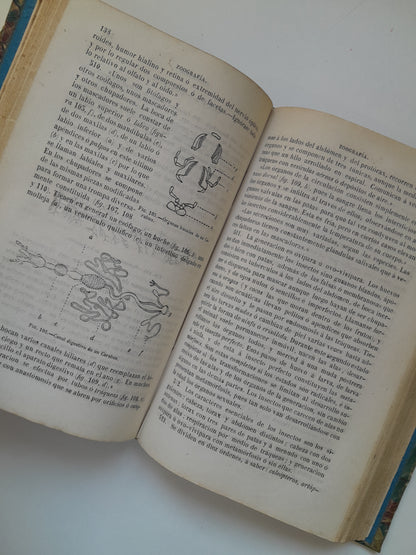 CURSO DE HISTORIA NATURAL - JOSÉ MONLAU (LIB. LA PUBLICIDAD, 1870)