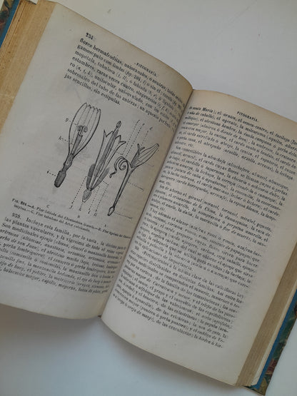 CURSO DE HISTORIA NATURAL - JOSÉ MONLAU (LIB. LA PUBLICIDAD, 1870)