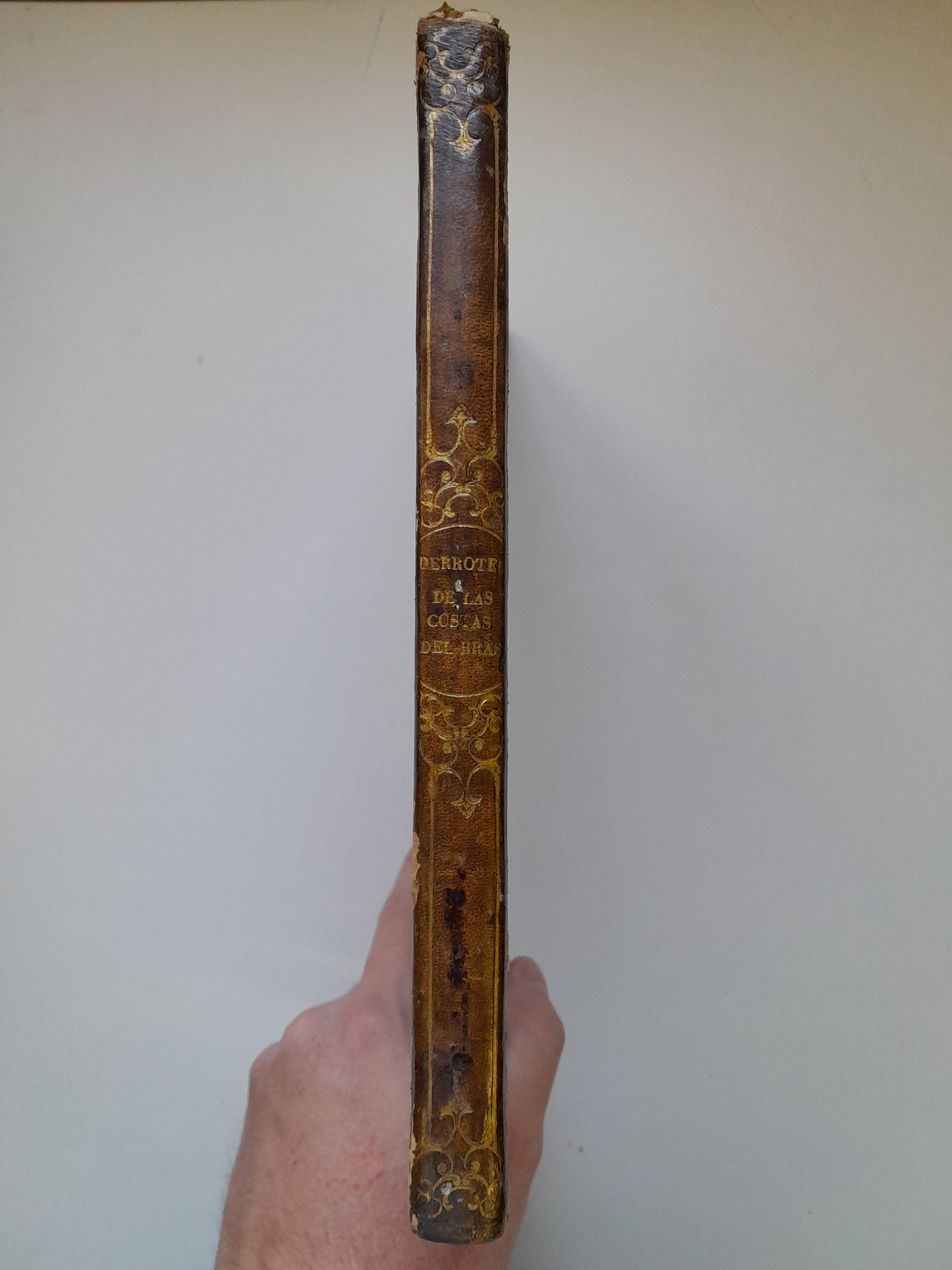 DERROTERO DE LAS COSTAS DE LA AMÉRICA MERIDIONAL - JUAN DON Y CARBONELL (IMP. A. ALBERT, 1844)