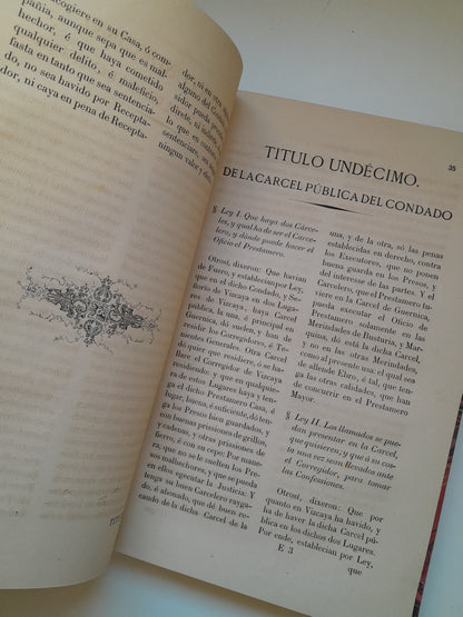 FUEROS, PRIVILEGIOS, FRANQUEZAS Y LIBERTADES DEL SEÑORÍO DE VIZCAYA (JUAN E. DELMAS, 1865)