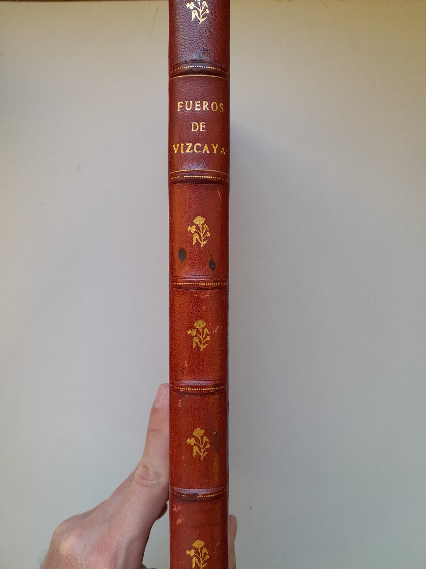 FUEROS, PRIVILEGIOS, FRANQUEZAS Y LIBERTADES DEL SEÑORÍO DE VIZCAYA (JUAN E. DELMAS, 1865)