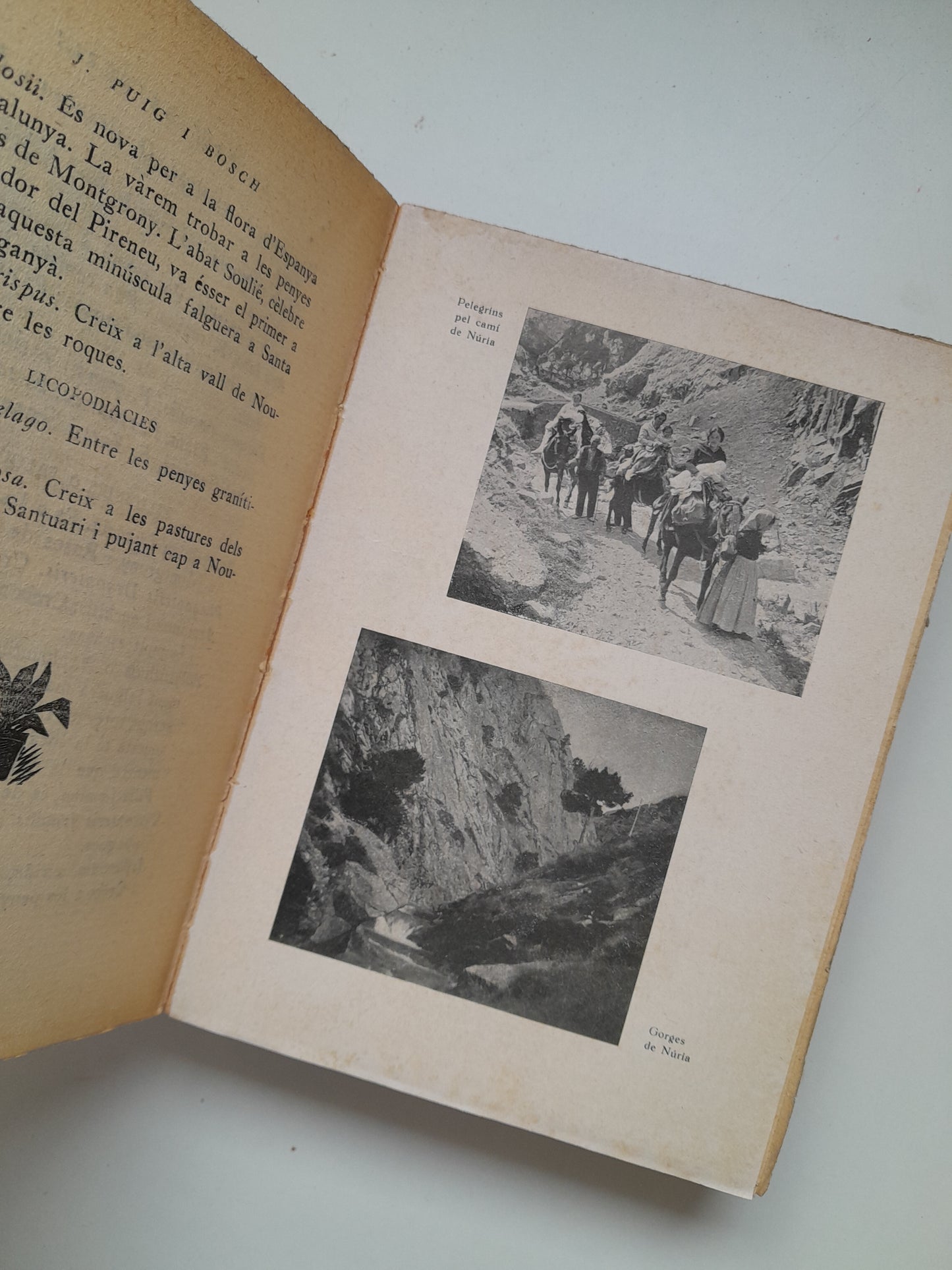 LA VALL DE NÚRIA - JOSEP PUIG I BOSCH (IBÉRICA, 1929)