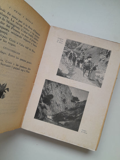 LA VALL DE NÚRIA - JOSEP PUIG I BOSCH (IBÉRICA, 1929)