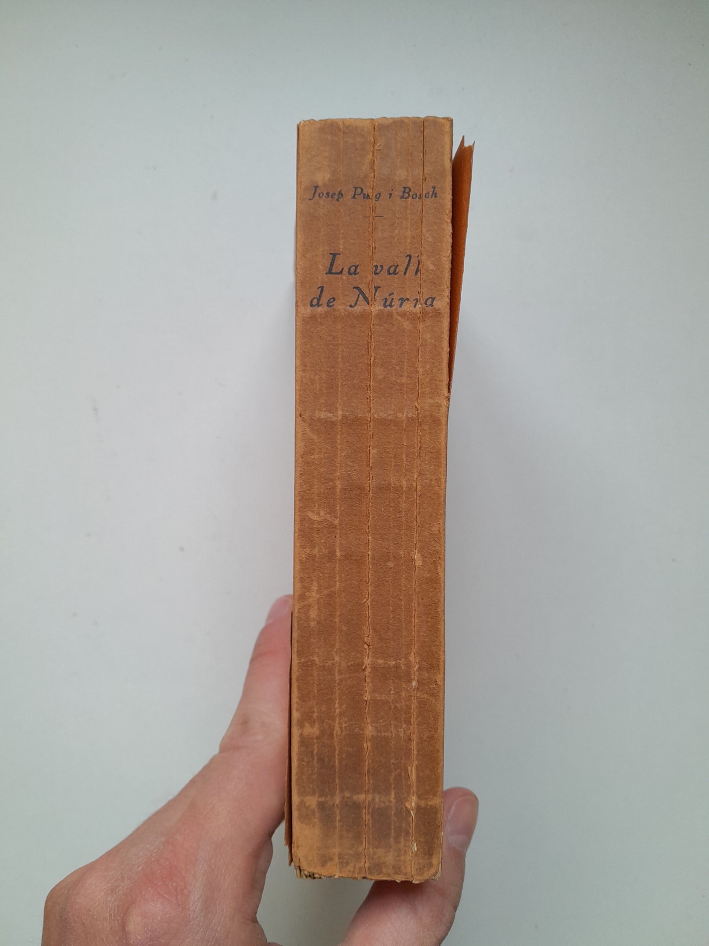 LA VALL DE NÚRIA - JOSEP PUIG I BOSCH (IBÉRICA, 1929)