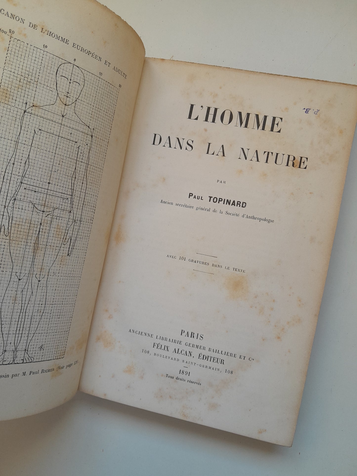 L'HOMME DANS LA NATURE - PAUL TOPINARD (FÉLIX ALCAN, 1891)