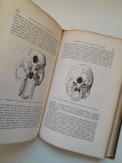 L'HOMME DANS LA NATURE - PAUL TOPINARD (FÉLIX ALCAN, 1891)