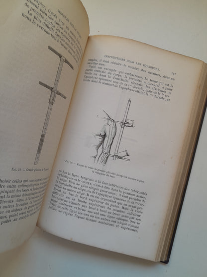 L'HOMME DANS LA NATURE - PAUL TOPINARD (FÉLIX ALCAN, 1891)