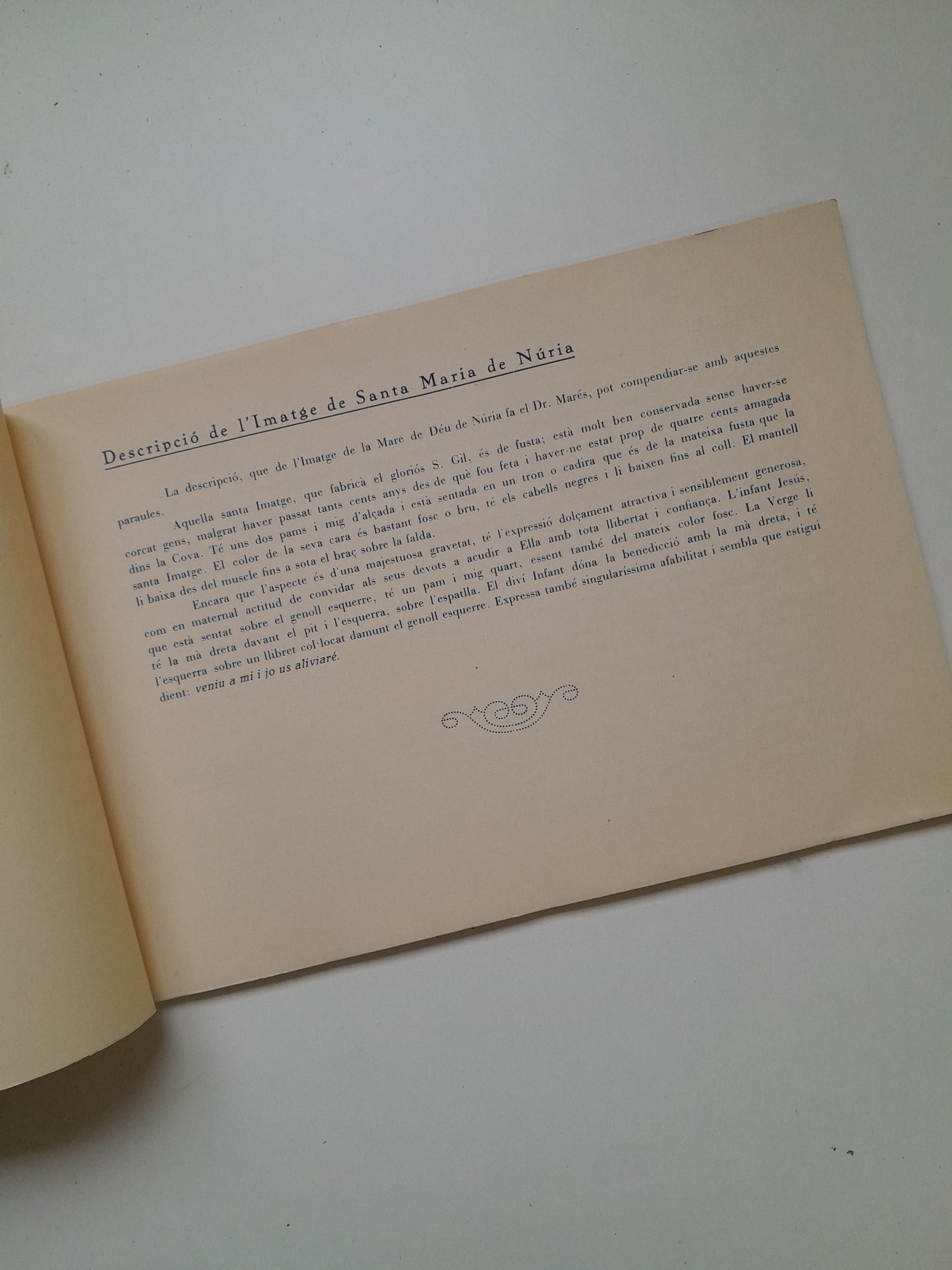 RECORD DEL SANTUARI DE LA MARE DE DÉU DE NÚRIA. ÀLBUM DE 46 VISTES (c.1920)