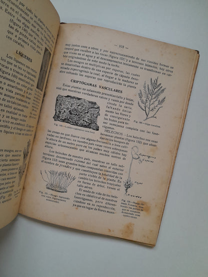 INTRODUCCIÓN AL ESTUDIO DE LAS CIENCIAS FÍSICO-NATURALES. SEGUNDO CURSO - BARTOLOMÉ DARDÉ PERICÁS (TIP. TORRES I VIRIGLI, 1935)