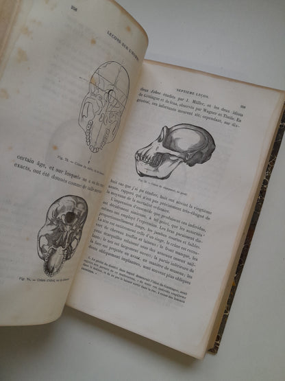 LEÇONS SUR L'HOMME - CARL VOGT (LIB. C. REINWALD, 1865)