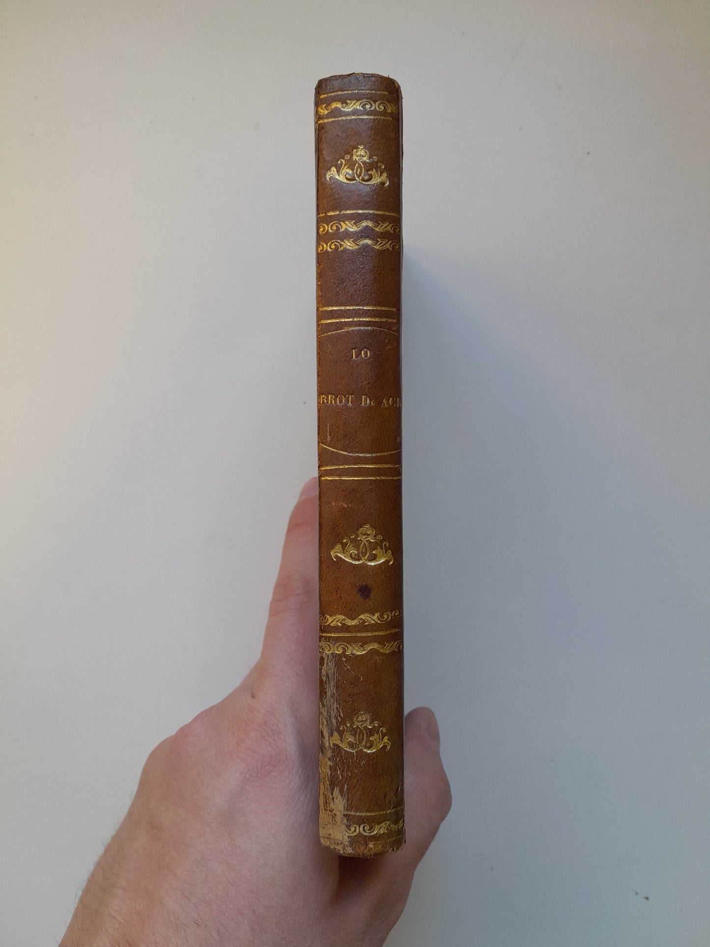 LO BROT D'ACHS - FRANCESC PELAI BRIZ (LIB. JOAN ROCA I BROS, 1866)