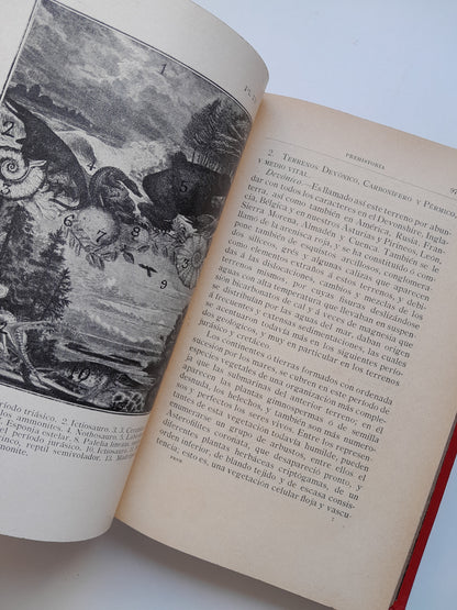 PREHISTORIA. ENSAYO DE METODIZACIÓN - ILDEFONSO RODRÍGUEZ FERNÁNDEZ (LIB. ADRIÁN ROMO, 1906)