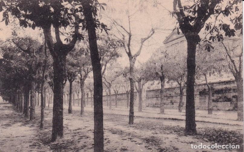 SAN LORENZO DE EL ESCORIAL. REAL MONASTERIO - PASEO CARLOS III