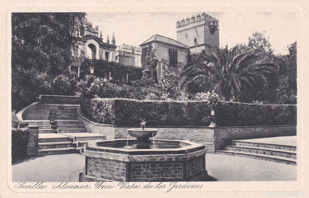 SEVILLA - 64. ALCÁZAR. UNA VISTA DE LOS JARDINES