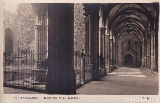 BARCELONA - 14. CLAUSTRO DE LA CATEDRAL