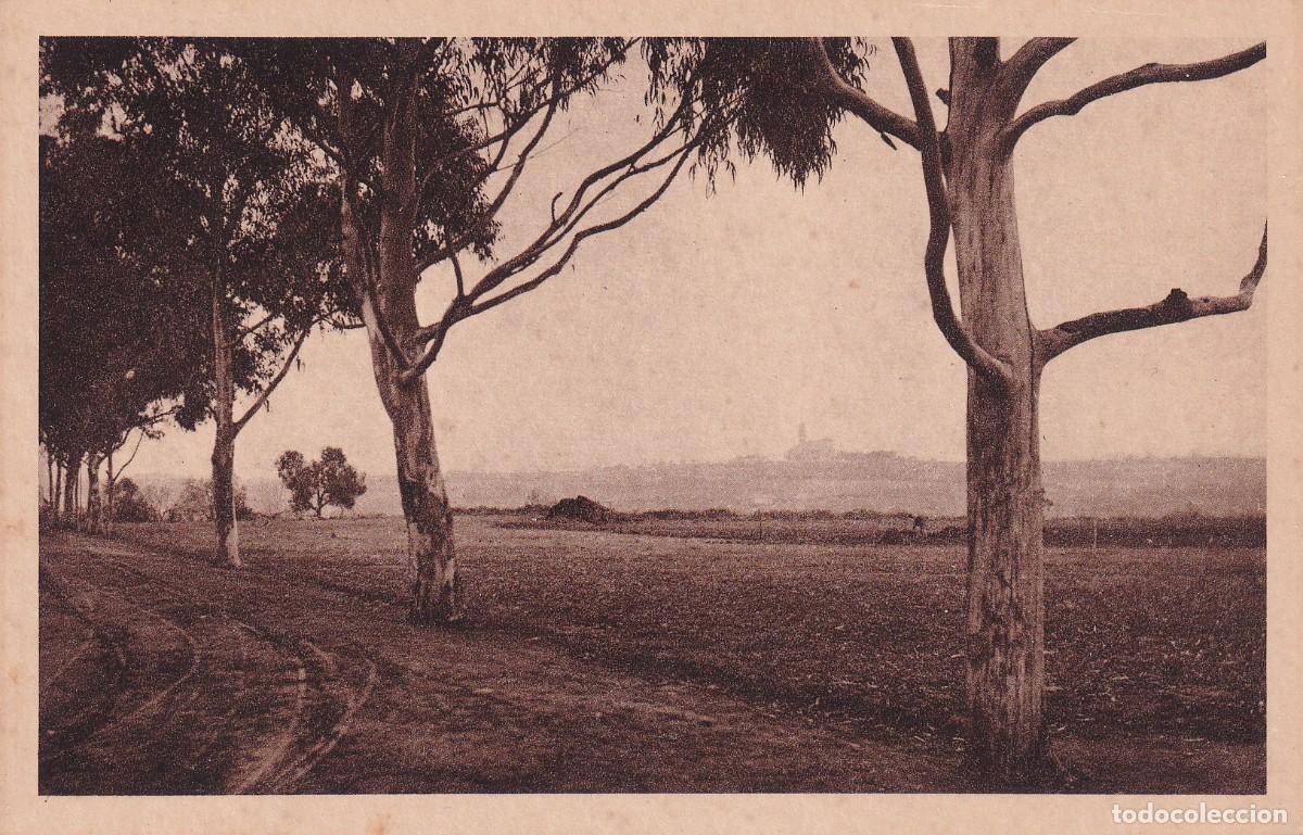 SABADELL - SANTUARIO DE NUESTRA SEÑORA DE LA SALUD. PANORAMA DESDE LA CLÍNICA DE LA SALUT
