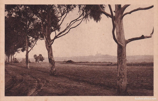 SABADELL - SANTUARIO DE NUESTRA SEÑORA DE LA SALUD. PANORAMA DESDE LA CLÍNICA DE LA SALUT
