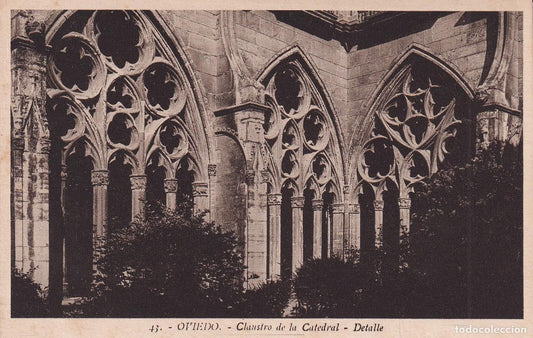 OVIEDO - 43. CLAUSTRO DE LA CATEDRAL. DETALLE (LUCIEN ROISIN)