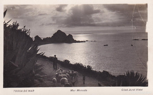 TOSSA DE MAR - MAR MENUDA