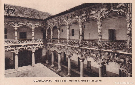 GUADALAJARA - 127. PALACIO DEL INFANTADO. PATIO DE LOS LEONES