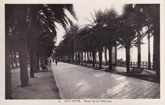 ALACANT - 77. PASEO DE LOS MÁRTIRES