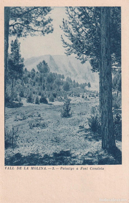 VALL DE LA MOLINA - LOTE DE 12 VISTAS EDITADAS POR EL CENTRE EXCURSIONISTA DE CATALUNYA