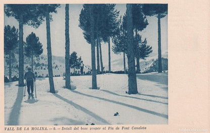 VALL DE LA MOLINA - LOTE DE 12 VISTAS EDITADAS POR EL CENTRE EXCURSIONISTA DE CATALUNYA