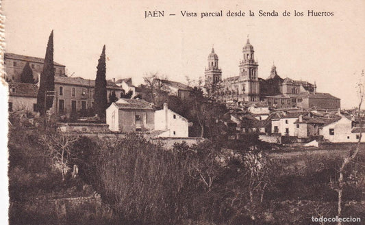 JAÉN - VISTA PARCIAL DESDE LA SENDA DE LOS HUERTOS