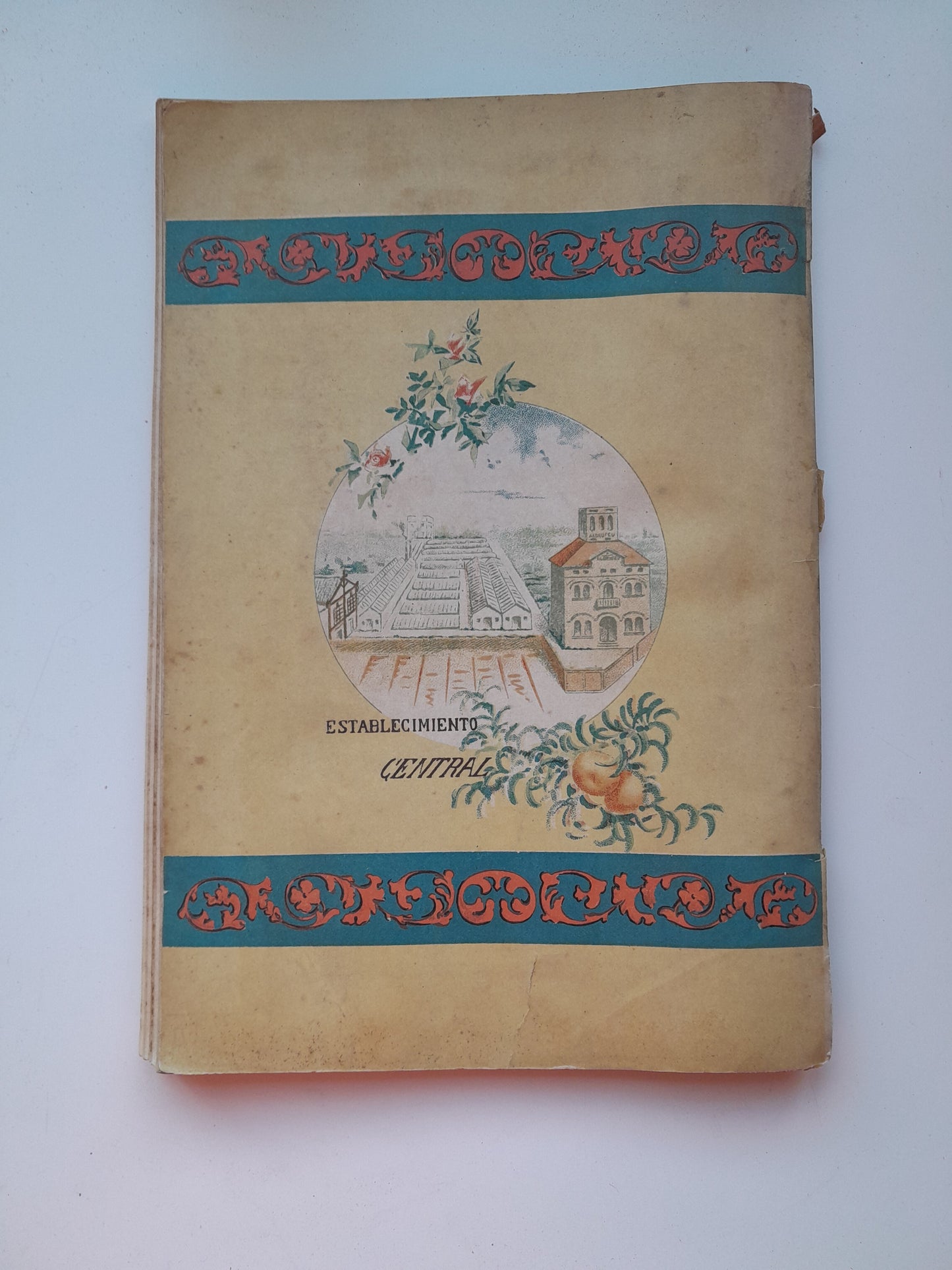 CATÁLOGO DEL ESTABLECIMIENTO VDA. E HIJOS DE DOMINGO ALDRUFEU, HORTICULTORES (c.1900)