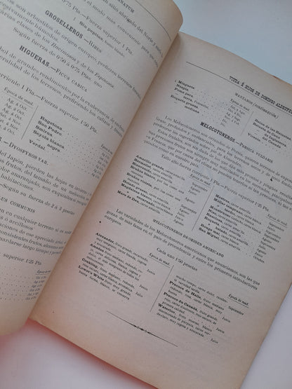 CATÁLOGO DEL ESTABLECIMIENTO VDA. E HIJOS DE DOMINGO ALDRUFEU, HORTICULTORES (c.1900)